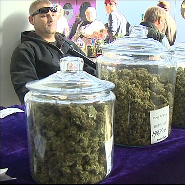 marijuana farmers market