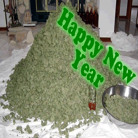 marijuana new years resolution