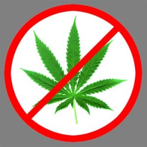 medical marijuana advertising ban outdoor denver