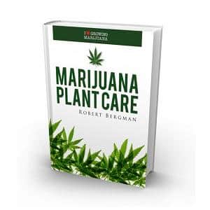 marijuana plant care book robert bergman