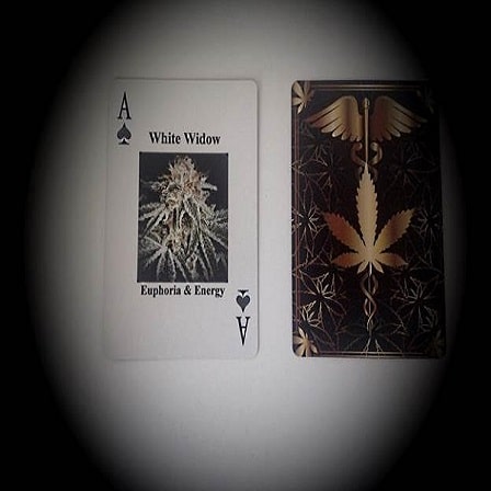 marijuana playing cards