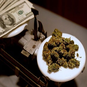 marijuana taxes tax