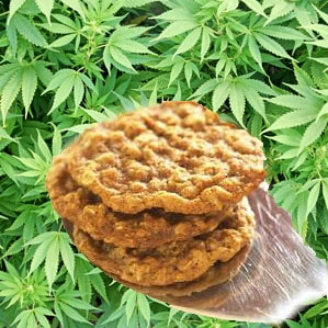 cinnamon roll oatmeal marijuana cannabis cookie cookies