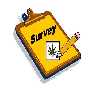 washington state marijuana survey