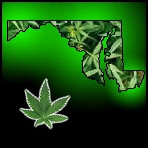 Maryland marijuana legalization