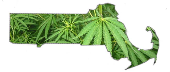 Massachusetts marijuana