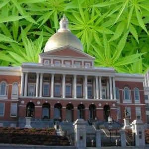 Massachusetts Marijuana senate