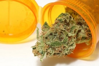 Medical Cannabis Legalization