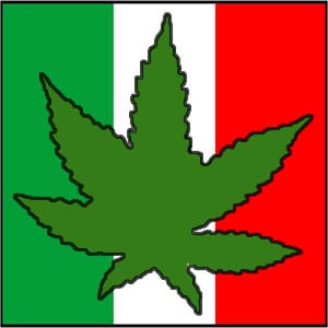 mexico flag marijuana