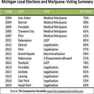michigan local election marijuana summary
