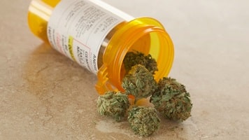 State Medical Cannabis Laws