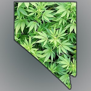 Nevada's New Marijuana Laws