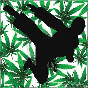 ninjas marijuana