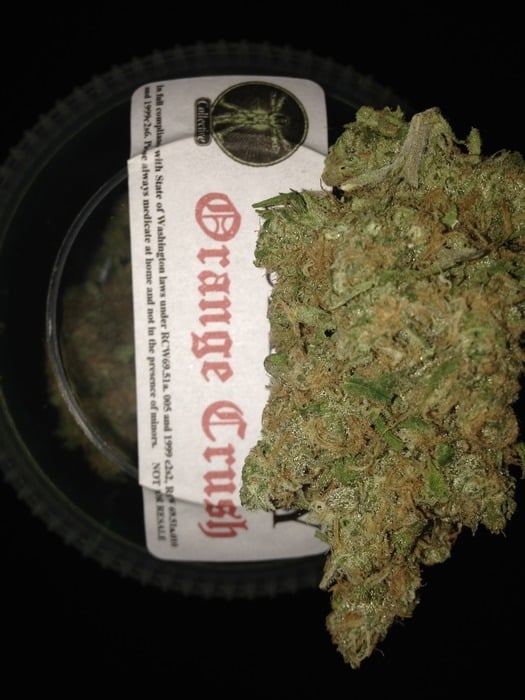 orange crush marijuana strain