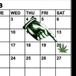 world cannabis week 2013