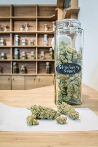 panacea medical marijuana dispesary portland oregon