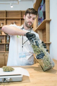 panacea medical marijuana dispesary portland oregon