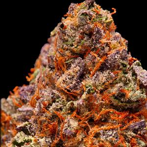 pecan bubble marijuana strain