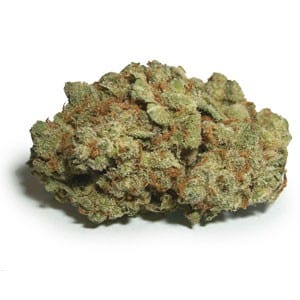 platinum jack marijuana strain