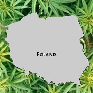 Poland Marijuana