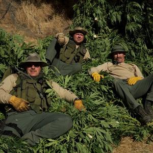 trespass grows marijuana federal bill