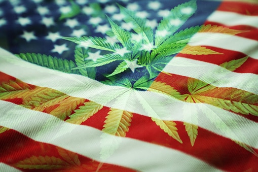 Which US states is marijuana used the most?