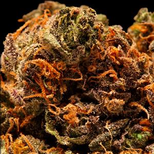 purple mr nice marijuana strain