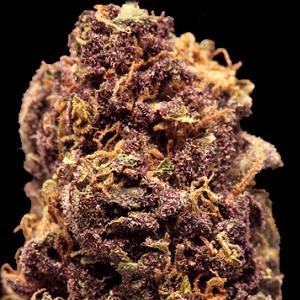 purple power marijuana strain