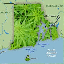 Rhode Island Marijuana Leaves