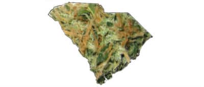 Bills to Legalize Medical Cannabis Introduced in South Carolina
