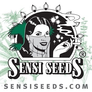 sensi seeds cannabis seeds