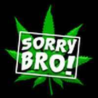 Sorry Bro Web Series
