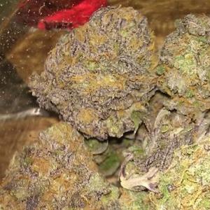sour grape marijuana strain
