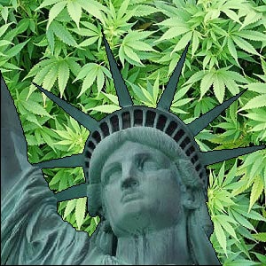 New York Marijuana arrests