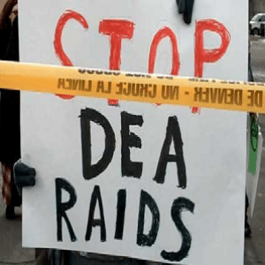 stop dea raids medical marijuana michigan