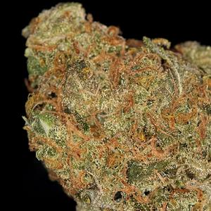 strawberry diesel marijuana strain