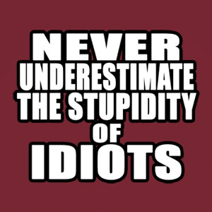 stupid idiots