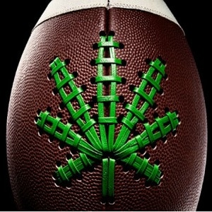 NFL is Interested in Studies of Cannabis for Pain