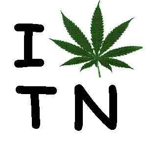 tennessee marijuana