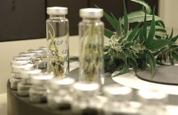 Cannabis Testing Labs