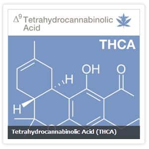 thca cannabinoid