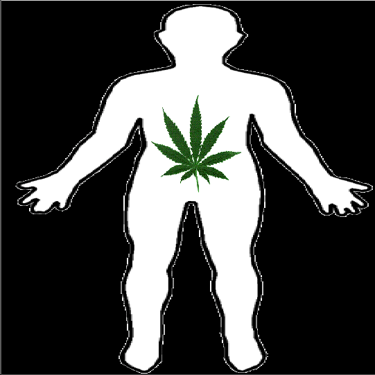 can medical marijuana help treat liver disease