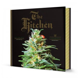 the kitchen marijuana book