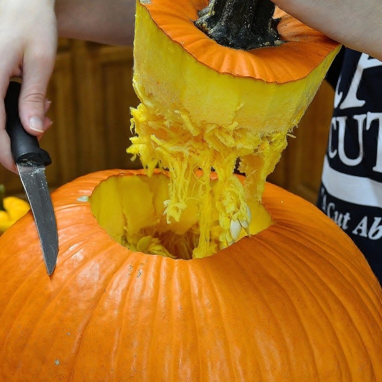 the weed blog twb pumpkin carving contest