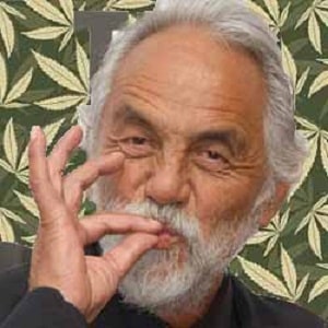 Tommy Chong high times cannabis cup