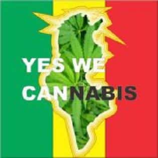 tunisia cannabis