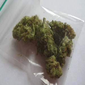 dub sack twenty marijuana 20