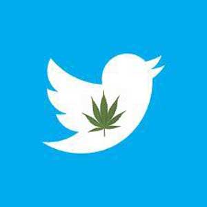 twitter marijuana cannabis