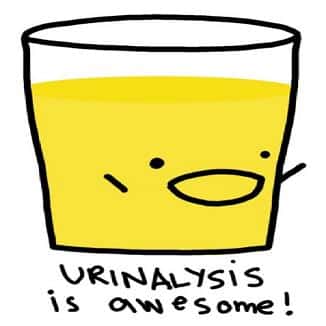 Urinalysis Is Awesome