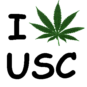 university of southern california marijuana